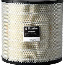 Donaldson B105006 Filter