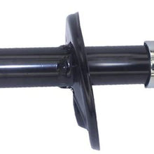 AutoDN 1PCS FRONT RIGHT Strut Shock Absorber Compatible With 1998-2000 TOYOTA COROLLA