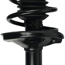 AOKAILI Rear Shock Absorber Struts & Spring Kit