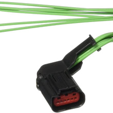 Motorcraft- WPT1241 Wiring Kit