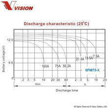 Vision 6FM75-X Battery