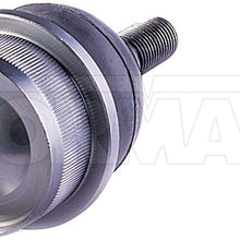 DORMAN BJ96135XL Suspension Ball Joint