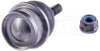 DORMAN BJ96135XL Suspension Ball Joint