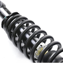 LONGKEES Rear Shock Absorber Struts & Spring Assembly Fit 2003-2008 Pontiac Vibe Toyota Corolla