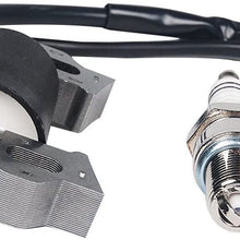 Aquiver Auto Parts New Ignition Coil and Spark Plug for Honda Gx110 Gx120 Gx140 Gx160 Gx200 5.5hp 6.5hp Engine Generator Rototiller 4589693/7988801 30500-ZE1-033 30500-ZE1-063 440-105