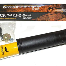 ARB 60081 Shock Absorber