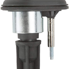 Delphi GN10114 Direct Ignition Coil