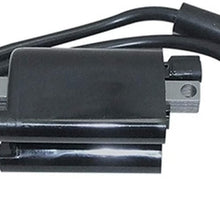 PARTSRUN High Performance Ignition Coil Module for EZGO Golf Cart MCI 2003-2008 & Up OE#72866-G01 EPIGC104,ZF-IG-A00496