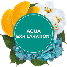 Glade Plugins Car Air Freshener Refill, Aqua Exhilaration, 0.11 Fl Oz