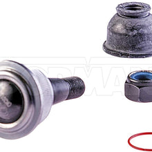 DORMAN BJ81206XL Suspension Ball Joint