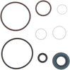 ACDelco 36-349010 Professional Power Steering Pump Seal Kit with Bushing and Seals