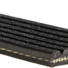 Acdelco 6K827A Professional Serpentine Belt, 1 Pack