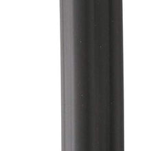Delphi GN10738 New Ignition Coil, 1 Pack