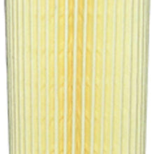 Hastings LF604 Lube Oil Filter Element