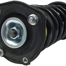 AOKAILI Rear Shock Absorber Struts & Spring Kit