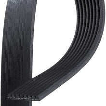 ACDelco 8K810 Professional V-Ribbed Serpentine Belt