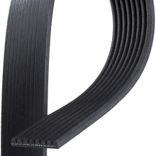 ACDelco 8K1264 Professional V-Ribbed Serpentine Belt