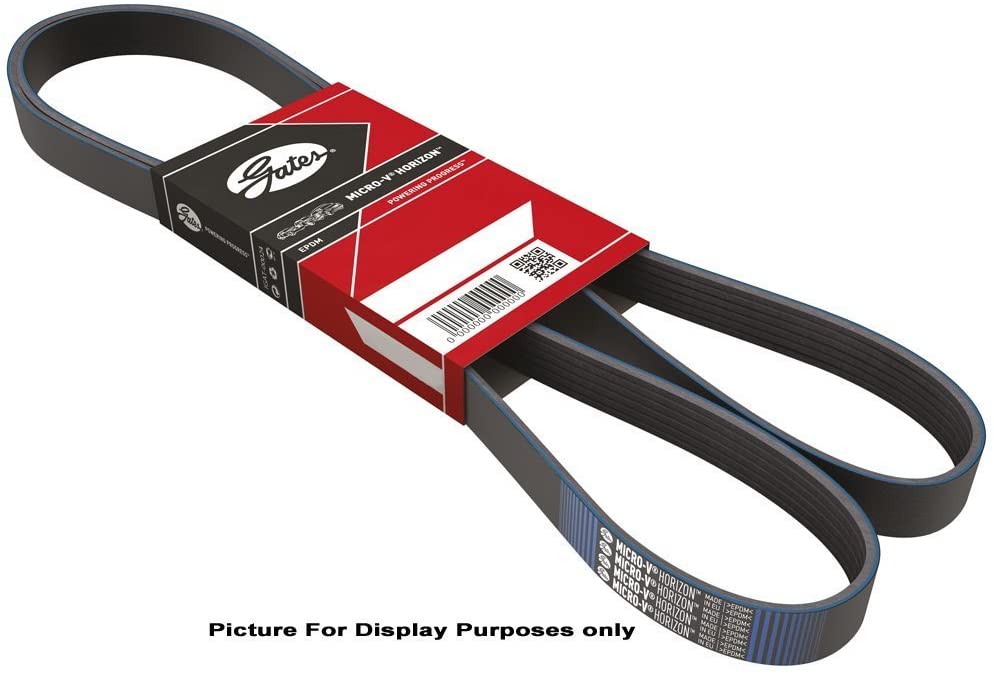 6PK1019SF Gates Belt