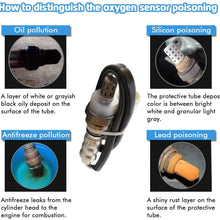 Oxygen Sensor Downstream and Upstream Replacement for Ford F150 Explorer Ranger Aston Martin Mazda Tribute Mercury Nissan Lincoln 2PCS Bosch 15717