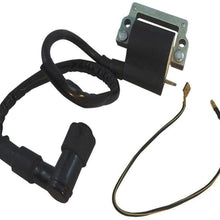 Amhousejoy Ignition Coil Fit for Yamaha QT50 QT 50 Yama Hopper 1979 1980 1981 1982 1983 1984 1985 1986 1987