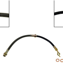 Dorman H380203 Hydraulic Brake Hose