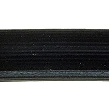 Dorman H38793 Hydraulic Brake Hose