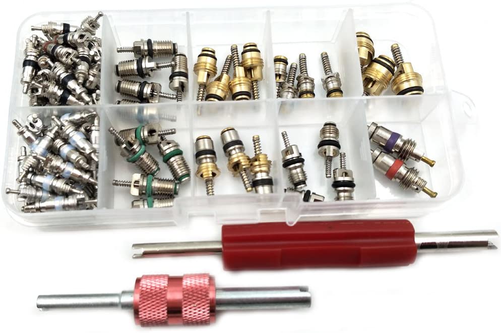 Nikauto 100Pcs Automotive Air Conditioning Part Valve Core and 2Pcs Car A/C Valve Core Remover Tool