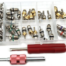 Nikauto 100Pcs Automotive Air Conditioning Part Valve Core and 2Pcs Car A/C Valve Core Remover Tool