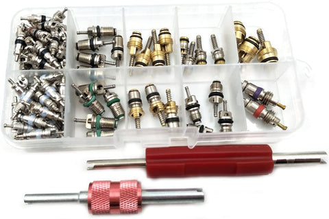 Nikauto 100Pcs Automotive Air Conditioning Part Valve Core and 2Pcs Car A/C Valve Core Remover Tool