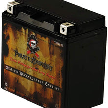 Replacement YTX14L-BS Powersport Battery- Replaces PTX14L-BS, ATX14LBS, HDX14L, ETX14L- Sealed AGM Battery- Pirate Battery