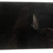 Dorman 926-243 Forward Rear Driver Side Door Molding for Select Cadillac/Chevrolet/GMC Models, Gloss Black