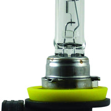 HELLA H11P50 + 50% + +50 Performance Bulb, 12V, 55W