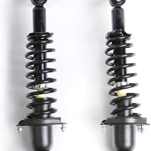 AOKAILI Rear Shock Absorber Struts & Spring