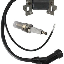 Aquiver Auto Parts New Ignition Coil and Spark Plug for Honda Gx110 Gx120 Gx140 Gx160 Gx200 5.5hp 6.5hp Engine Generator Rototiller 4589693/7988801 30500-ZE1-033 30500-ZE1-063 440-105