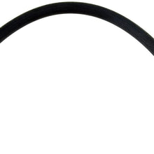 Dorman H381097 Hydraulic Brake Hose