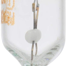SYLVANIA 2825 Basic Miniature Bulb, (Contains 10 Bulbs)