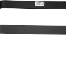 Dorman 578-316 Fuel Tank Strap Set