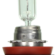 Wagner Lighting BP1255H11 Halogen Capsule - Card of 1