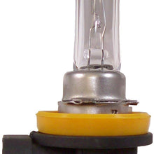 EVO 93390 Formance White 4500K Spectras Xenon H11 Bulb