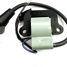 QPN Ignition Coil for Johnson Evinrude OMC BRP 9.9 15 40 HP 1974-1976 - 502880, 581407, 72020, 9-23101, 18-5196