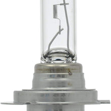 SYLVANIA - H7 Basic - Halogen Bulb for Headlight, Fog, Daytime Running Lights, and Cornering Applications (Contains 1 Bulb)