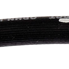 Dorman H622419 Rear Passenger Side Brake Hydraulic Hose for Select Lexus Models