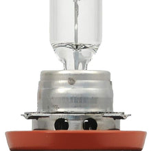 SYLVANIA H11 Basic Halogen Headlight Bulb, (Pack of 1)
