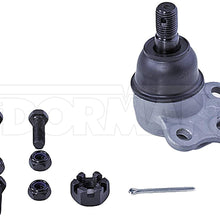 DORMAN BJ81196XL Suspension Ball Joint