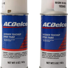 ACDelco 19354951 Automotive Paint, 1 Pack