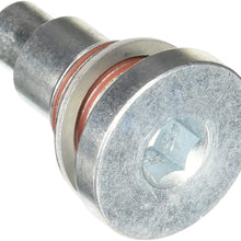 Dorman 917-954 Engine Timing Chain Guide Bolt for Select Models (OE FIX)