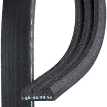 ACDelco 3K290 Professional V-Ribbed Serpentine Belt