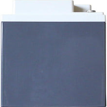 XS Power S1200 'S Series' 12V 2,600 Amp AGM Automotive Starting Battery with Terminal