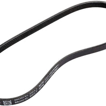 ACDelco 25181815 GM Original Equipment Air Conditioning Compressor Belt