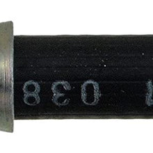 Dorman H381103 Hydraulic Brake Hose
